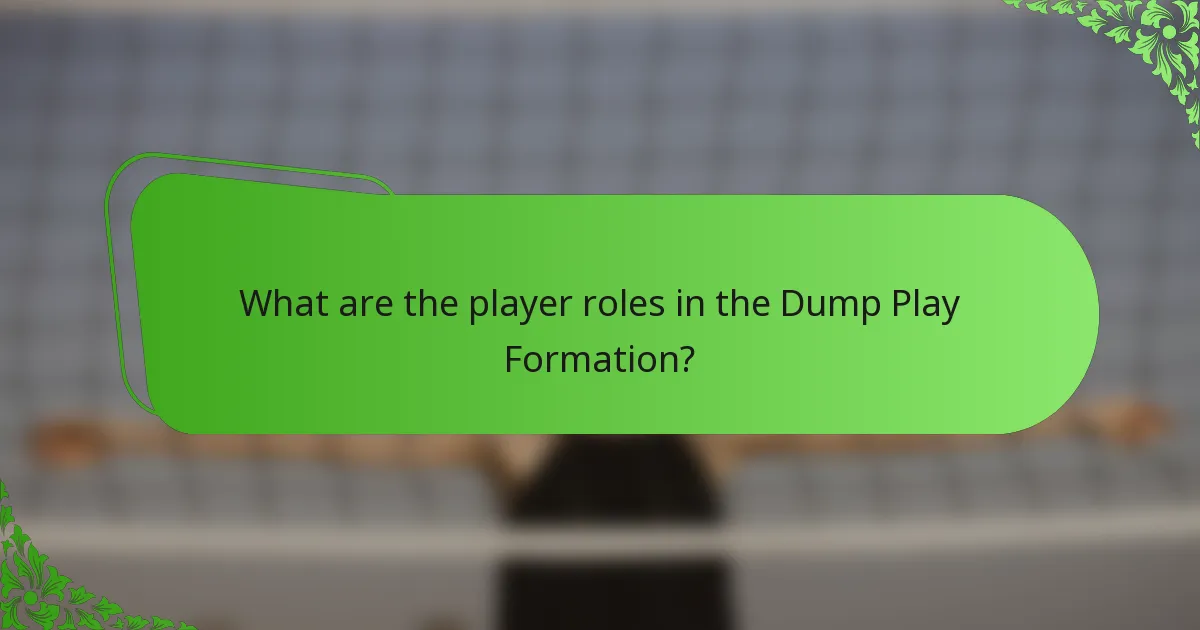 What are the player roles in the Dump Play Formation?