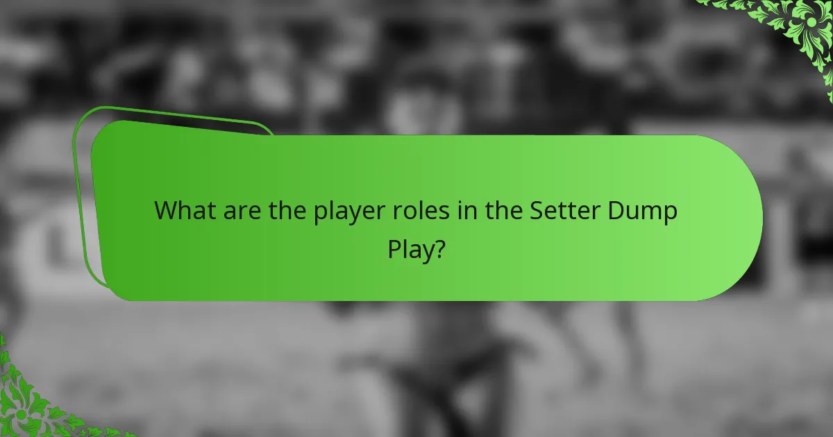 What are the player roles in the Setter Dump Play?